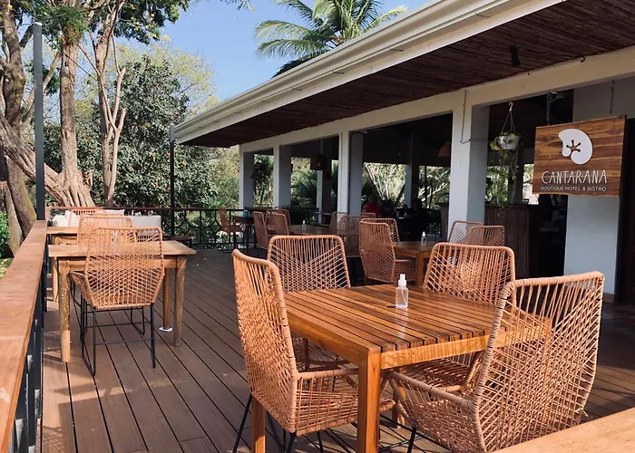 El Manglar Y Cantarana Hotel Playa Grande
