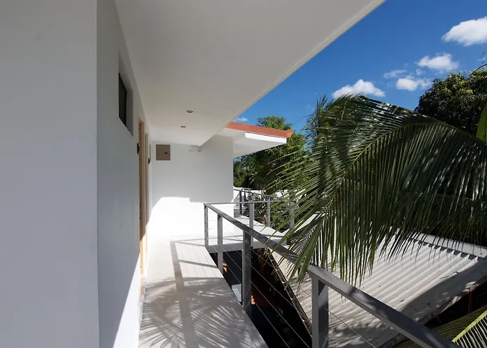 El Manglar Y Cantarana Hotel Playa Grande
